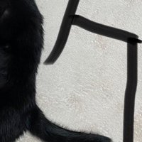 写真に書かれた手書きの『黒』と『勺』の字