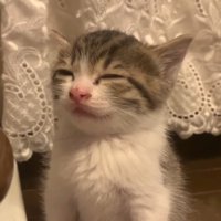 目を閉じた顔のアップ