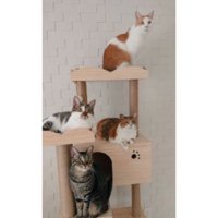 キャットタワーにいる猫たち