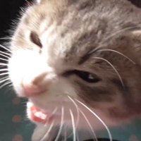 顔のドアップ