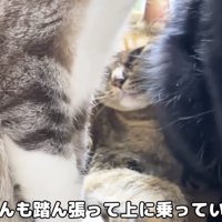 奥にリナちゃん