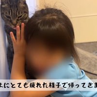 ペロペロ