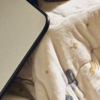 こたつに乗っている猫たち