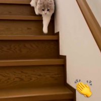 拍手の絵文字の写真