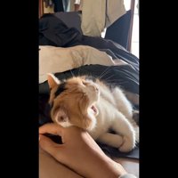 あくび