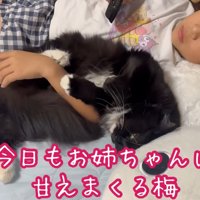 テロップ「今日もお姉ちゃんに～」