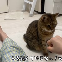 テロップ「人を踏んずけるな」