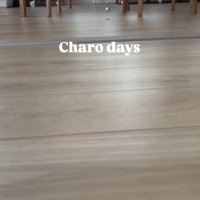 床に落ちているボール