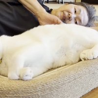 ベッドでゴロン