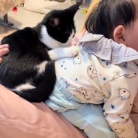 赤ちゃんの背中を至近距離から見つめている猫