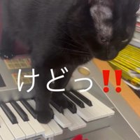 「けどう」と書かれた写真