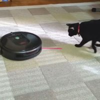 猫とロボット掃除機