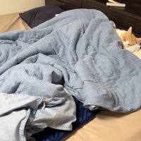 布団で寝るロビンくん