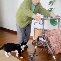おばあちゃんとカートを見ている猫