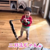 テロップ「二刀流じゃんｗ」