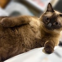 包容力のあるこじろーくん