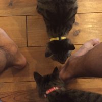 足の匂いを嗅ぐふたり