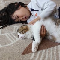 なでなで