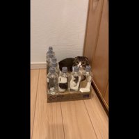 少し下から