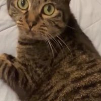 いろはちゃんアップ