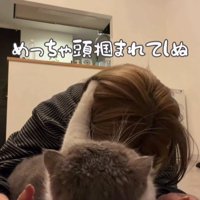 飼い主の頭をつかむ猫