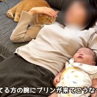 赤ちゃんを抱いて昼寝をする人と猫