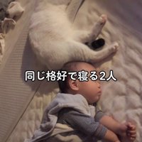 一緒に寝る赤ちゃんと猫