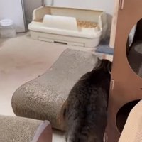 移動するそぼろくん2