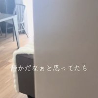 壁の隙間から見えるリビング