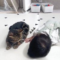 猫に顔を近づけられて笑顔になる赤ちゃん