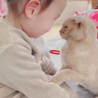 向き合う女の子と猫