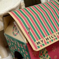 段ボールのキャットハウス