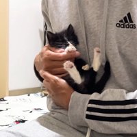 抱っこで目を閉じた姿