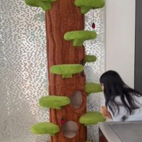 落ちる猫を抱きとめる女の子