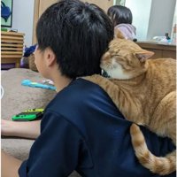 男の子と猫