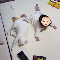 赤ちゃんの隣で横になる猫