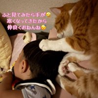 寝ている猫と男の子
