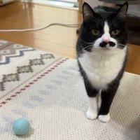 こちらを見つめて