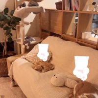 キャットタワーで眠る猫たち