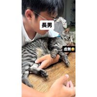男性と猫