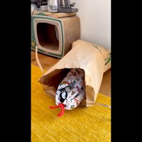 上から