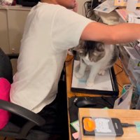 ノートを棚の上に置く男性