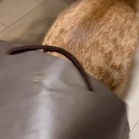 潜った姿