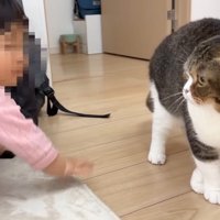 赤ちゃんとぽこ太郎くん