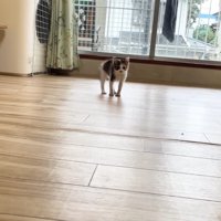 窓の前