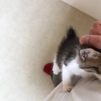 目を閉じた表情