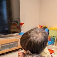 猫をハグ