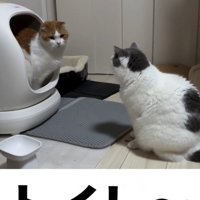 「トイレ」と書かれた写真