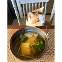 テーブルの前にいる猫