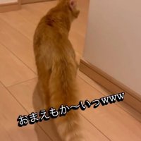 「おまえもかーい」と書かれた写真